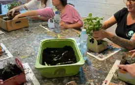 506902974_1263394128770873_8145723315742643074_n