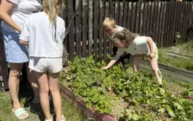 496511117_2542395489452648_2200942706277134905_n