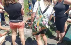 514487973_1347691420200115_8484251749563206779_n