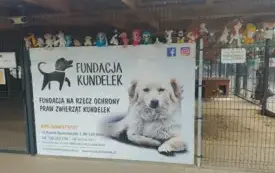 Messenger_creation_11B113CD-4B5F-4AC3-8C44-E0E386B9AF7D