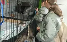 Messenger_creation_8AFF33D4-F292-4EDC-BB39-F9B2ACDD48E6