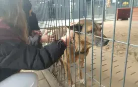 Messenger_creation_D39C6C32-A5A4-4A48-9D5D-E0E25B7CEDDA