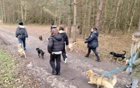 Messenger_creation_3B15ED4B-9BF6-41BA-8394-3D09E5A2AC3C