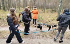 Messenger_creation_0FDFBD5D-0516-4C2A-B445-8ADECE1CBCBA