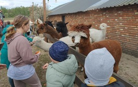 Animacje 29.04 (4).jpeg
