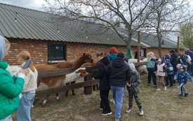 Animacje 29.04 (3).jpeg