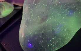 IMG-20260420-WA0017