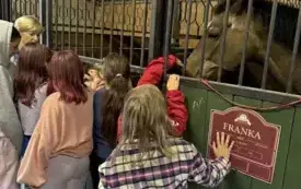 Dzieci ze świetlicy w stadninie koni