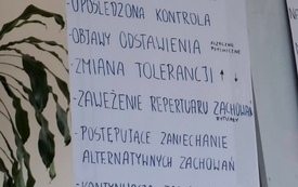 Plansza edukacyjna z wykładu przedstawiająca listę siedmiu kluczowych objaw&oacute;w uzależnienia