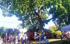 IMG_20260527_163106