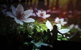 Uczestnicy warsztat&oacute;w na tle zdjęcia z kwiatami