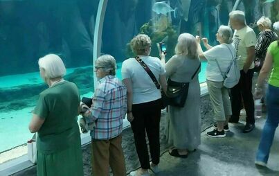 Zdjęcie do Uczestnicy Klubu Senior+ na wycieczce w Ogrodzie Zoologicznym oraz Orientarium w Łodzi