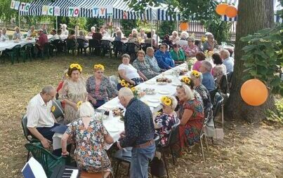 Zdjęcie do Senioralny Piknik Integracyjny